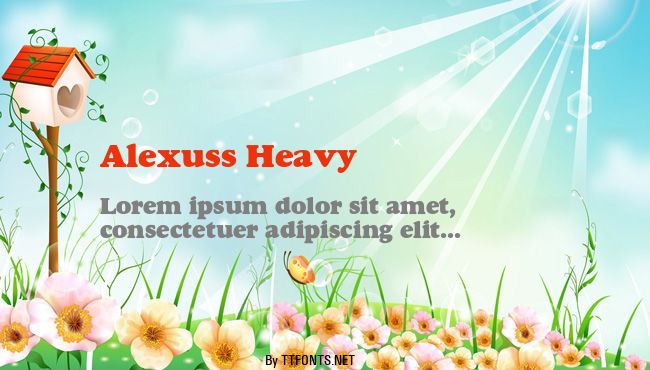 Alexuss Heavy example